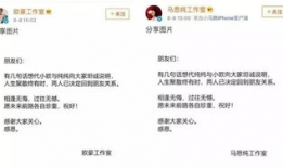 娱乐圈吃瓜爆料张翰,揭秘背后的真相与争议